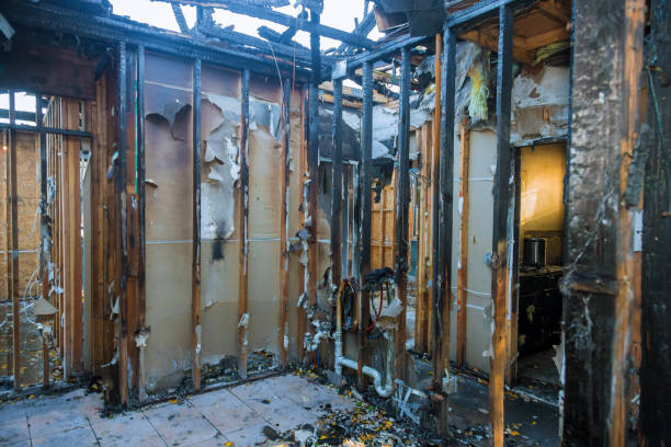 Professional Fire Damage Repair technician working in Carbondale, CO